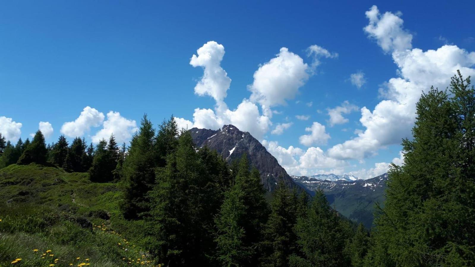Ferienhaus Willms Am Gaisberg Kirchberg in Tirol Eksteriør billede