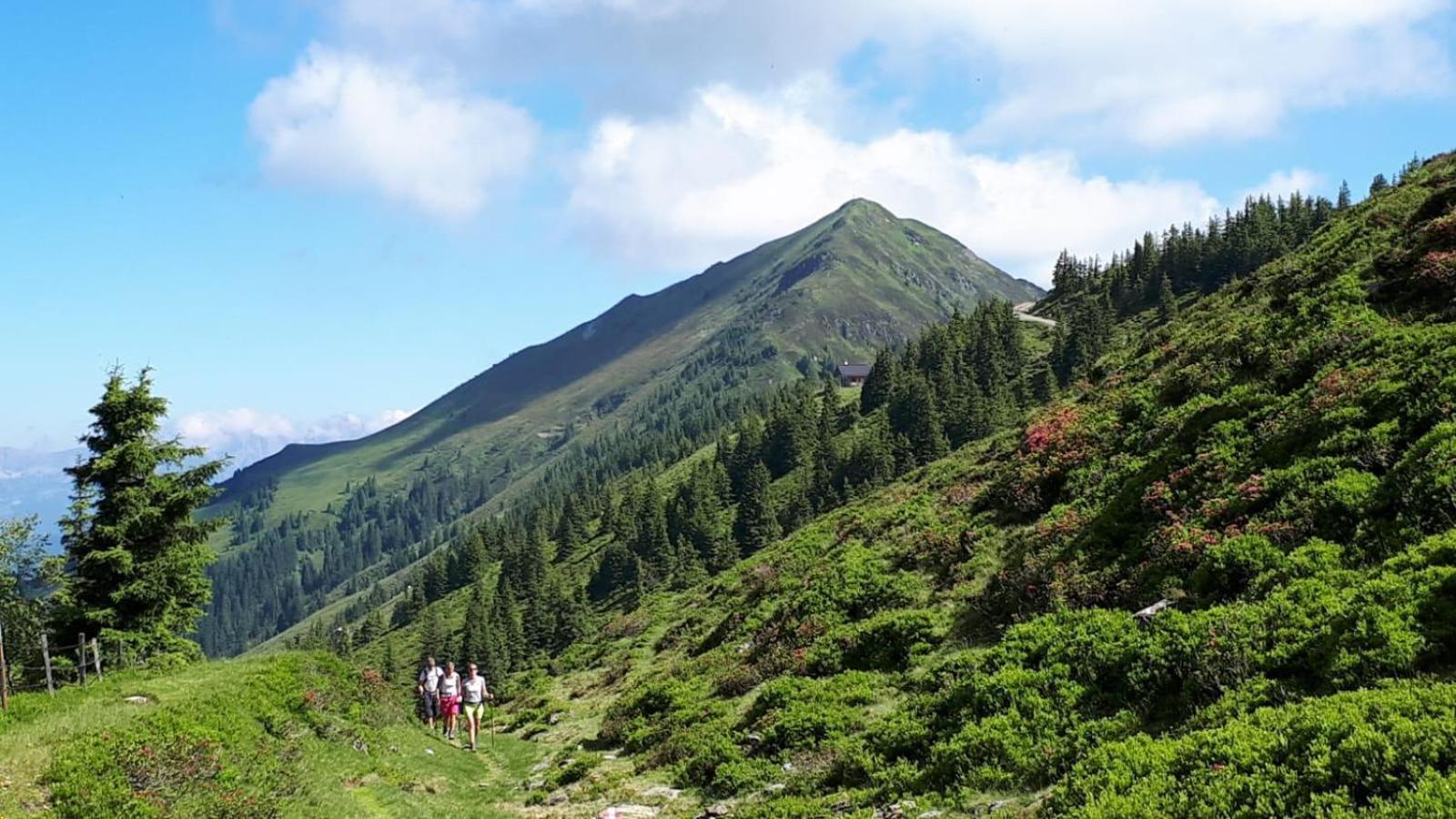 Ferienhaus Willms Am Gaisberg Kirchberg in Tirol Eksteriør billede